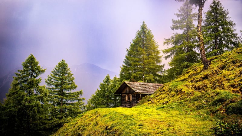 Cozy Cabin in the Woods